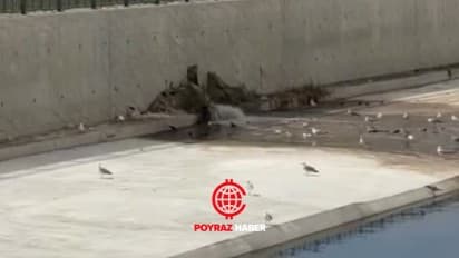 AKAY’DAN TESKİ’YE SERT TEPKİ: “BECERİKSİZSİNİZ!”